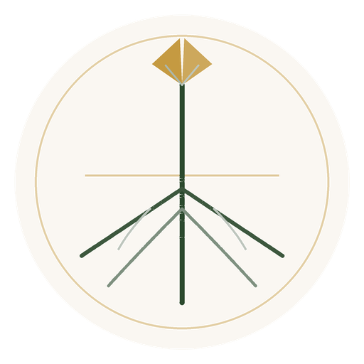 Rooted Financial